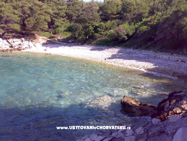 Ferienwohnungen Ankica – Ferienwohnung Insel Rab, Kroatien – Foto 7