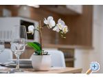 Apartmaji Arbis - ostrov Rab Hrvaka