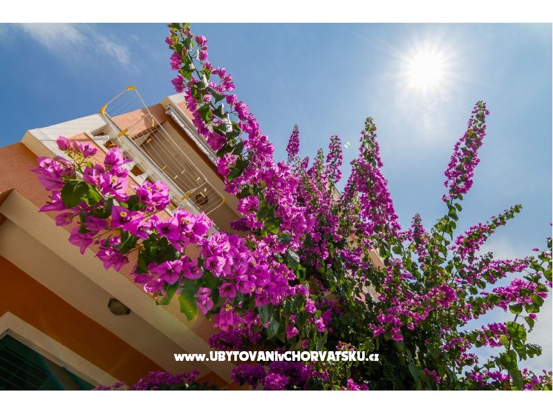 Appartements Andela – Ferienwohnung Insel Rab, Kroatien – Foto 3