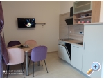 Apartmny Damir-Julija - ostrov Rab Chorvatsko