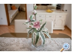 Appartements Danijela - ostrov Rab Kroatien