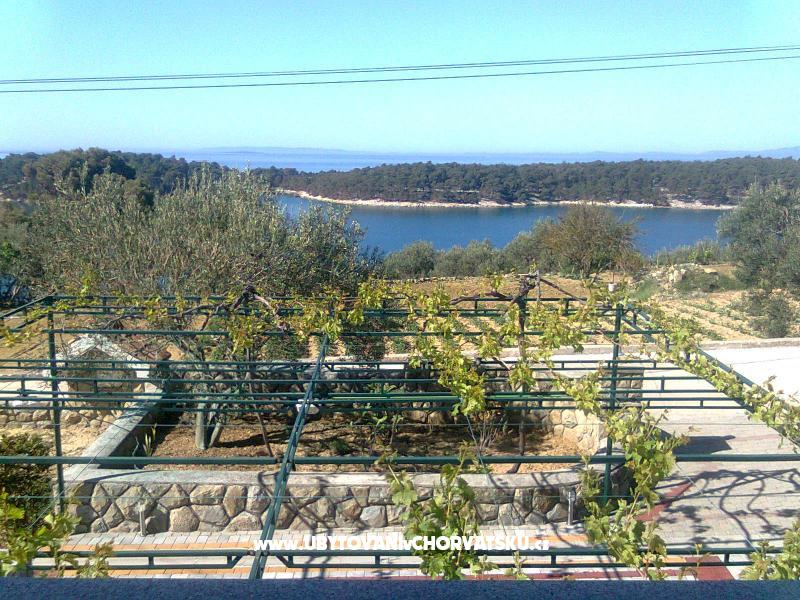 Apartmány Mlacović – ubytování ostrov Rab, Chorvatsko – foto 10