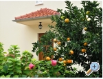 Appartements Natalija - ostrov Rab Kroatien