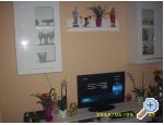 Apartmaji Rajka - ostrov Rab Hrvaka