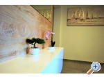 Appartements Sandra - ostrov Rab Kroatien