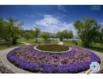 Apartmaji Sandra - ostrov Rab Hrvaka