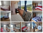 Appartements Sindi 1,2           APART - ostrov Rab Kroatien