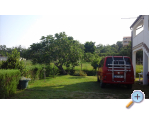 Appartements Snjezana - ostrov Rab Kroatien