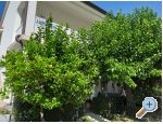 Apartmny Snjezana - ostrov Rab Chorvatsko