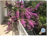 Appartements  panjol - ostrov Rab Croatie