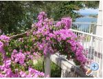 Appartements  panjol - ostrov Rab Croatie