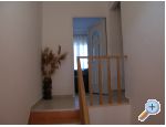 Appartements Uranus - ostrov Rab Kroatien