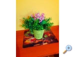 Appartements Vesna - ostrov Rab Kroatien