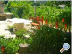 Apartmaji Vesna - ostrov Rab Hrvaka