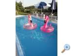 Appartements Campor - ostrov Rab Kroatien