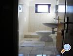 Apartmaji Kampor - ostrov Rab Hrvaka