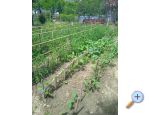 Perkic Apartmny Marjetka - ostrov Rab Chorvatsko