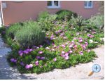 Appartement Marina exclusive - ostrov Rab Kroatien