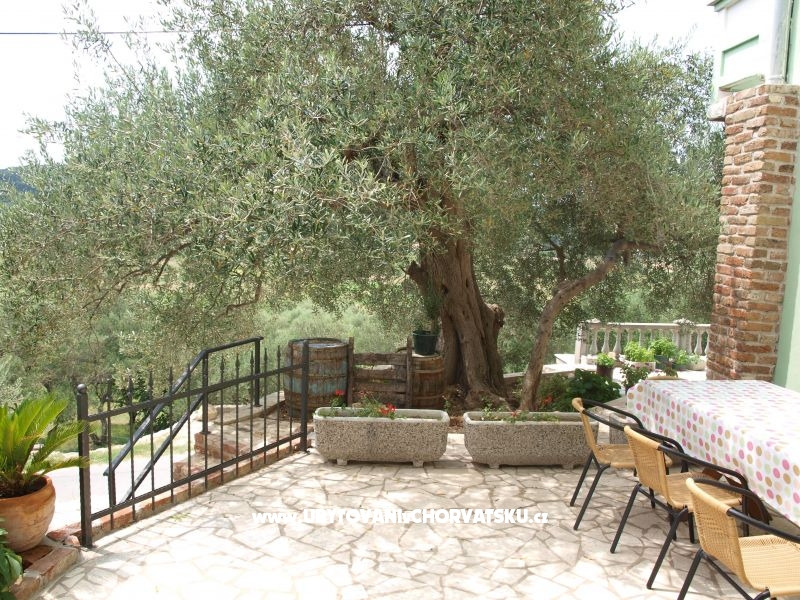 Apartmány Dumičić – ubytování ostrov Rab, Chorvatsko – foto 2