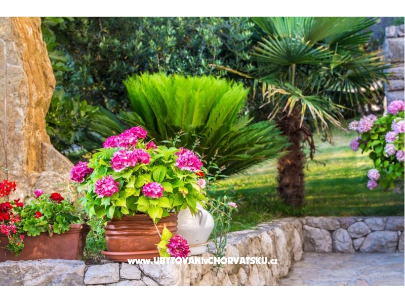 Božena Barčić – Ferienwohnung Insel Rab, Kroatien – Foto 18