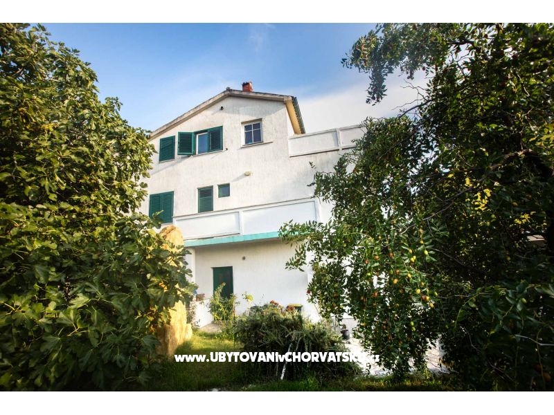 Božena Barčić – Ferienwohnung Insel Rab, Kroatien – Foto 2