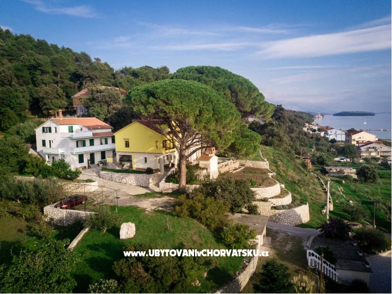 Božena Barčić – Ferienwohnung Insel Rab, Kroatien – Foto 5