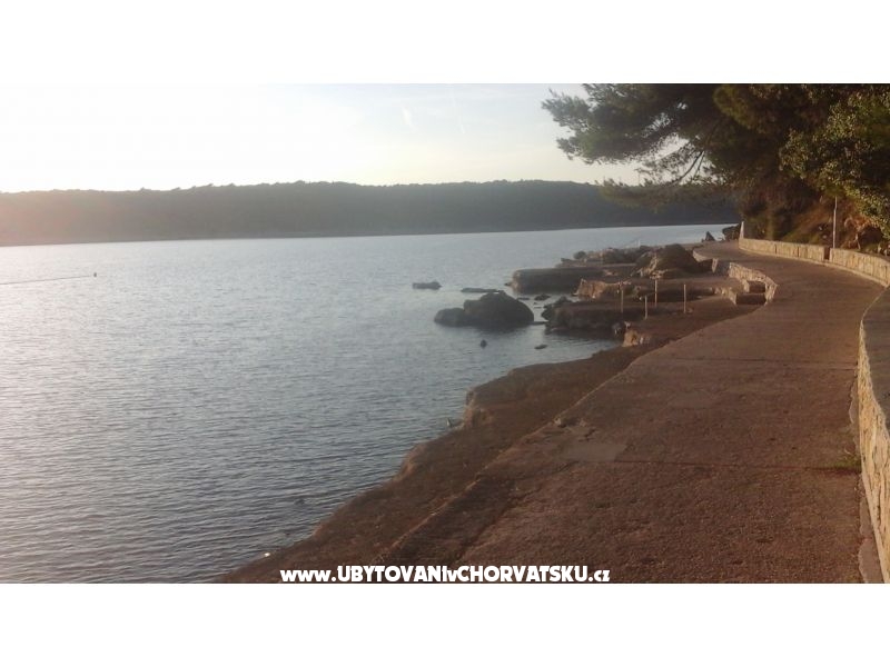 Ferienwohnungen Mlacovic – Ferienwohnung Insel Rab, Kroatien – Foto 12