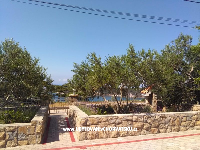 Ferienwohnungen Mlacovic – Ferienwohnung Insel Rab, Kroatien – Foto 13
