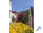 Apartmaji uvala Vardoa - ostrov Rab Hrvaka