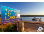Appartements Villa Seka pool &amp; sauna - ostrov Rab Croatie