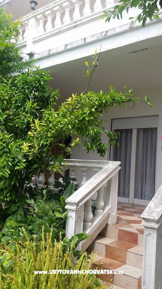 Arba – Ferienwohnung Insel Rab, Kroatien – Foto 1