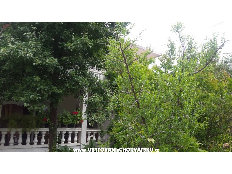 Arba – Ferienwohnung Insel Rab, Kroatien – Foto 2