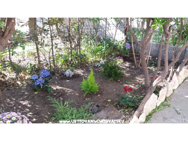 Arba – Ferienwohnung Insel Rab, Kroatien – Foto 5