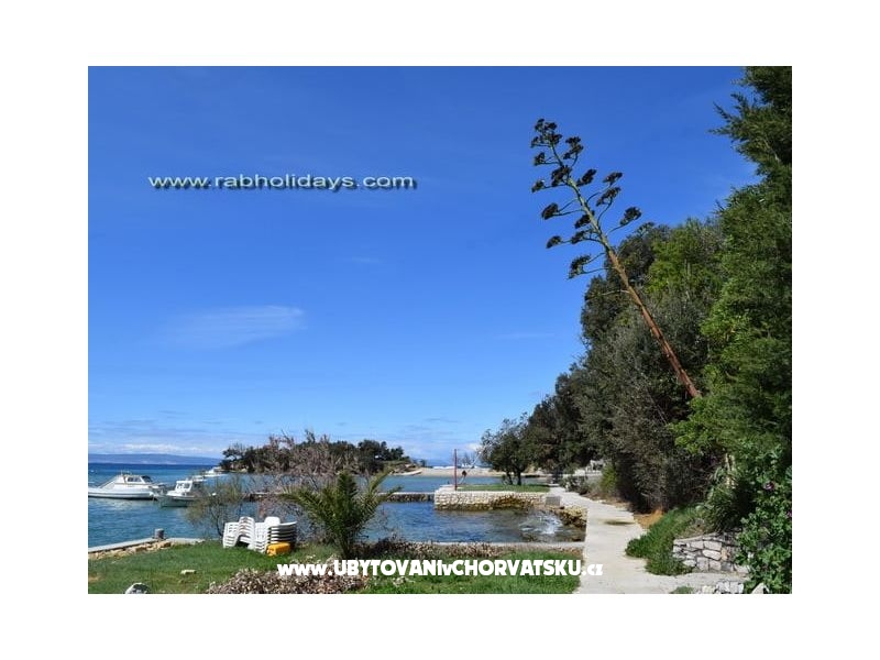 Haus Ana directly by the beach – Ferienwohnung Insel Rab, Kroatien – Foto 15