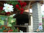 Apartmaji Hajo - ostrov Rab Hrvaka
