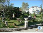 Apartmaji Hajo - ostrov Rab Hrvaka