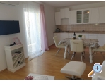 Island Rab Mare - ostrov Rab Kroatien