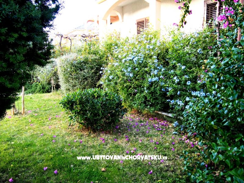 Haus Ivanić – Ferienwohnung Insel Rab, Kroatien – Foto 2