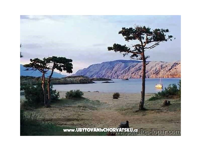 Zimmers i apartmani Lidija – Ferienwohnung Insel Rab, Kroatien – Foto 13