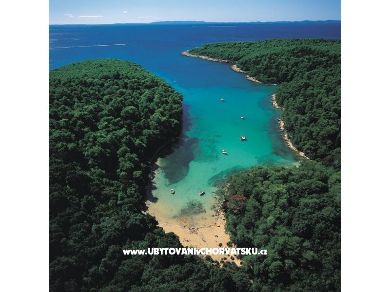 Villa Stella – Ferienwohnung Insel Rab, Kroatien – Foto 5