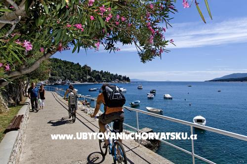 Apartment CAMI – Ferienwohnung Rabac, Kroatien – Foto 17