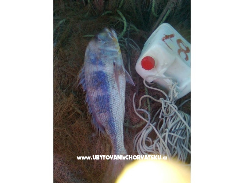 Apartment Mila – Ferienwohnung Razanac, Kroatien – Foto 15