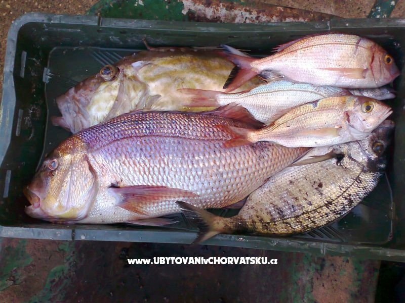 Apartment Mila – Ferienwohnung Razanac, Kroatien – Foto 16