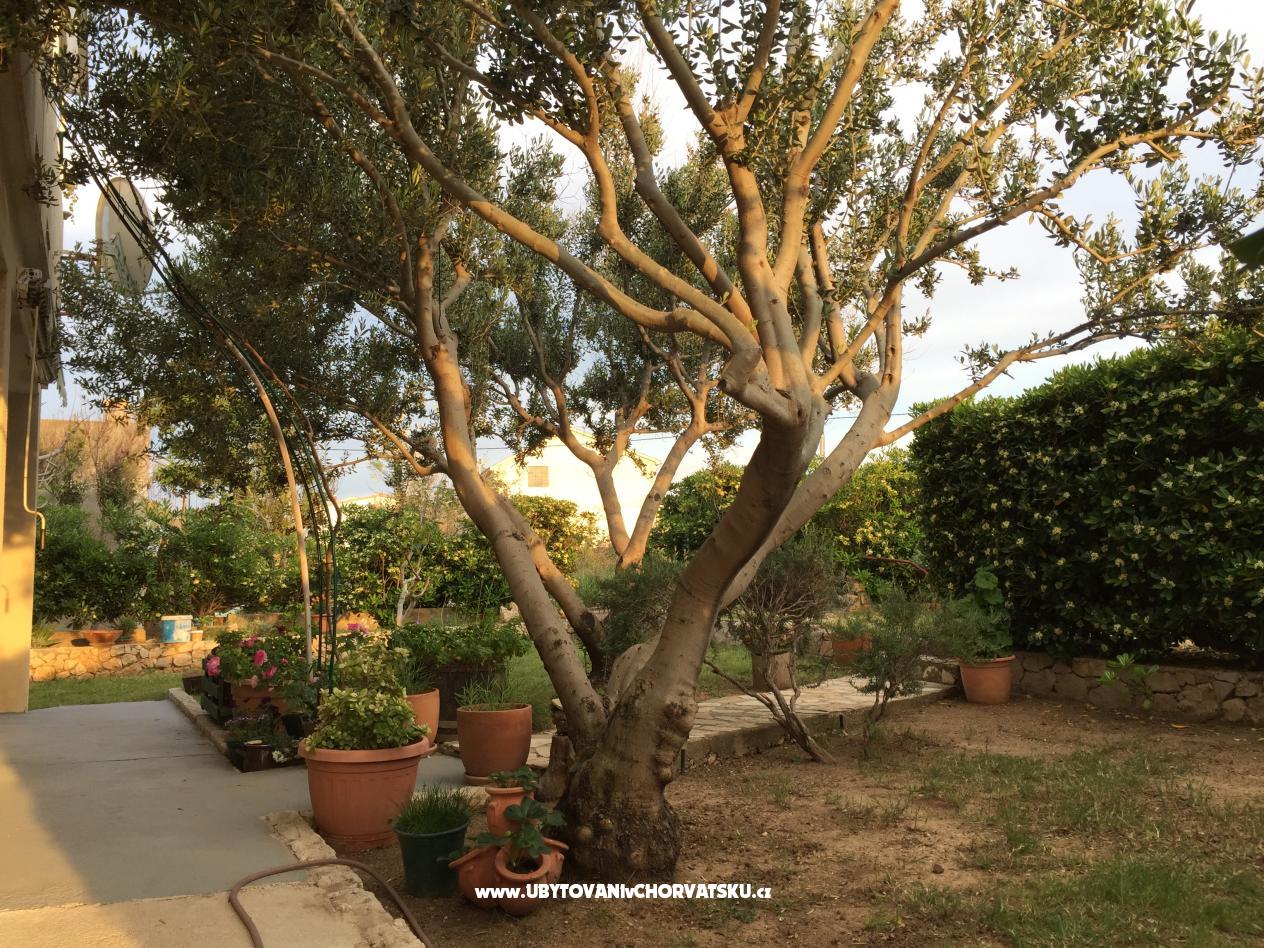 Appartements Biba i Luce – Ferienwohnung Razanac, Kroatien – Foto 2