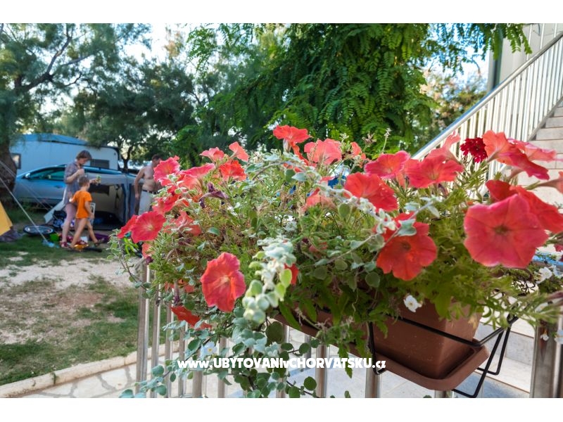 Appartements Puntica – Ferienwohnung Razanac, Kroatien – Foto 3