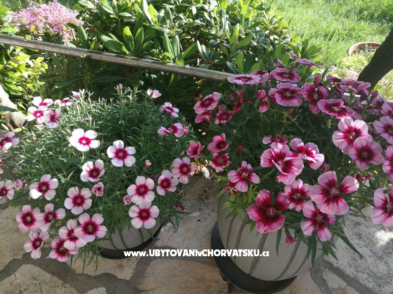 Ferienwohnungen Eugen – Ferienwohnung Razanac, Kroatien – Foto 15