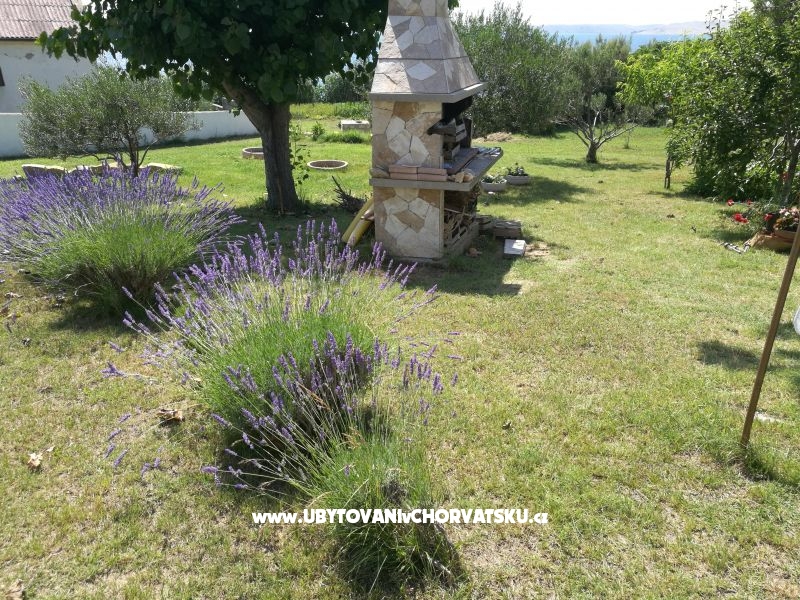 Ferienwohnungen Eugen – Ferienwohnung Razanac, Kroatien – Foto 5