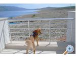 Atrium Blue - Raanac Croatie
