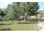 Villa Bibinka Ljuba - Raanac Kroatien