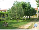 Villa Bibinka Ljuba - Raanac Croatie